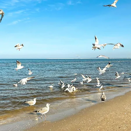 Διαμέρισμα Visit Baltic - Sienkiewicza Rs1.07